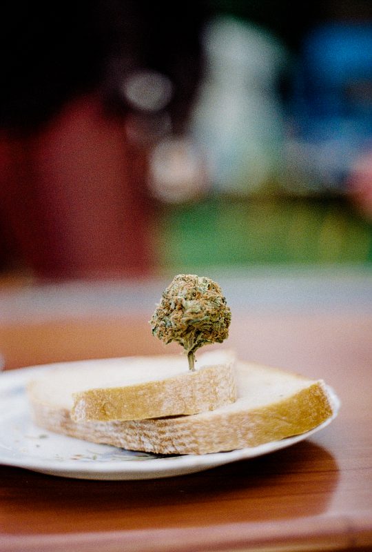 Psy High ’13 – workshop Neveklov | EXPO /|\