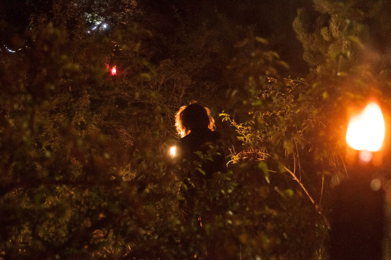 psy-high I air | EXPO /|\