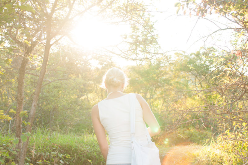 psy-high I air | EXPO /|\