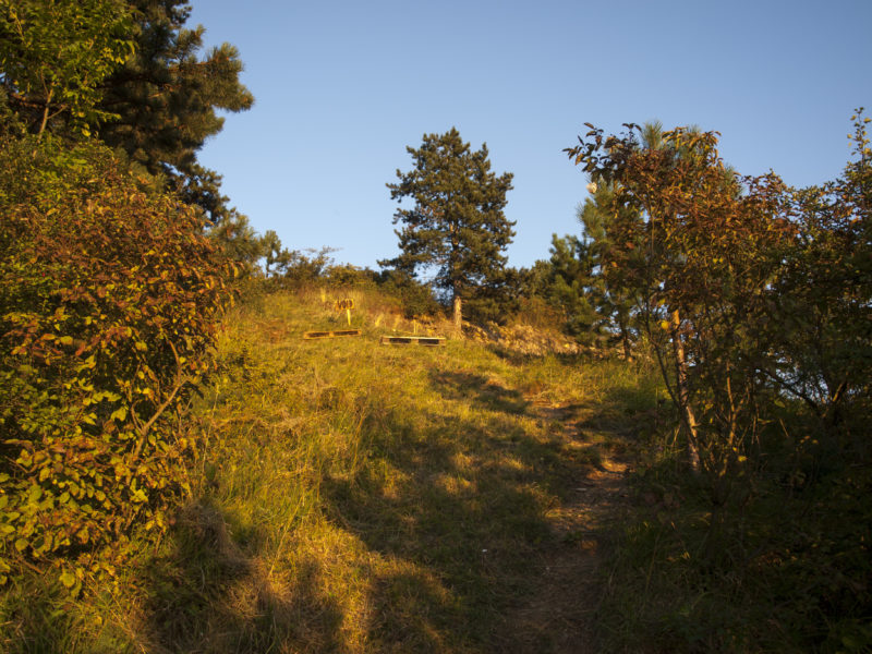 psy-high I air | EXPO /|\