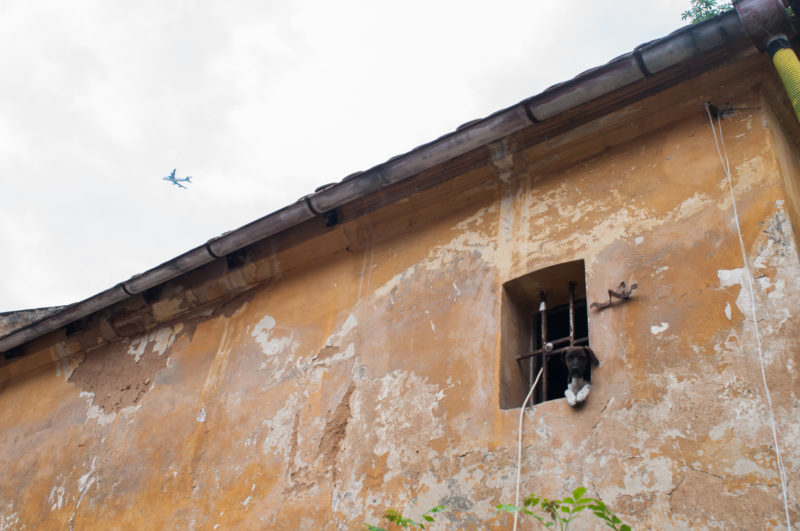 Ruins of Intolerance #005 | EXPO /|\