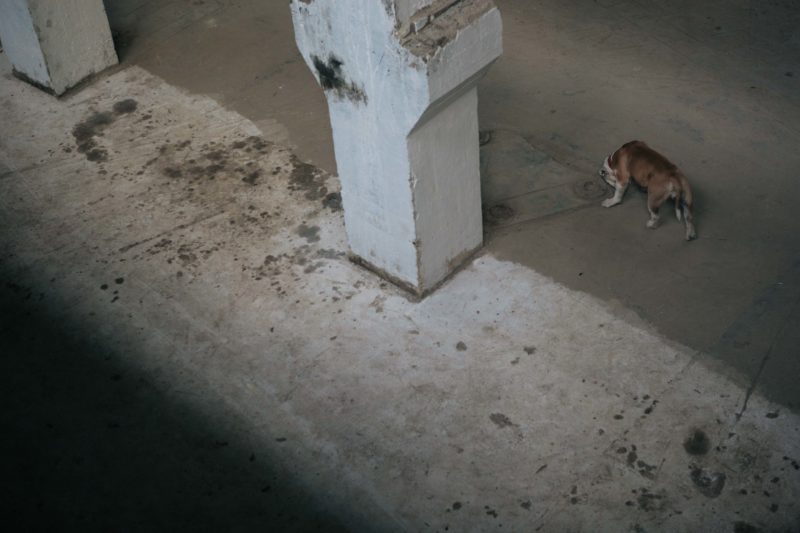 Ruins of Intolerance #006 | EXPO /|\