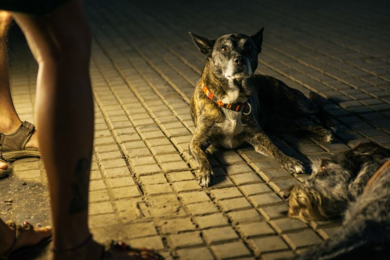 Ruins of Intolerance #006 | EXPO /|\