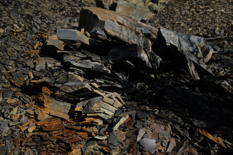 gætæway ’19 | EXPO /|\