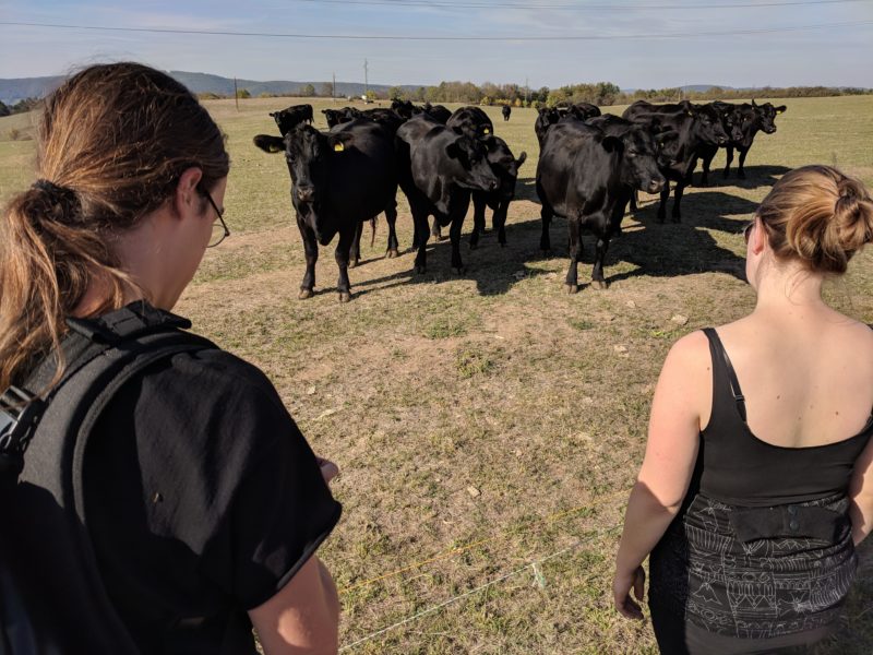 Getaway ’18 | EXPO /|\