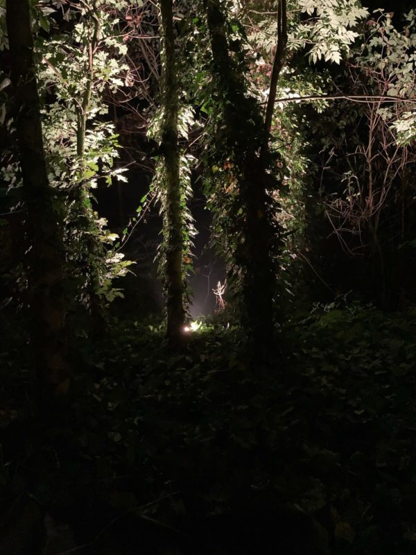 Hájenka X | EXPO /|\