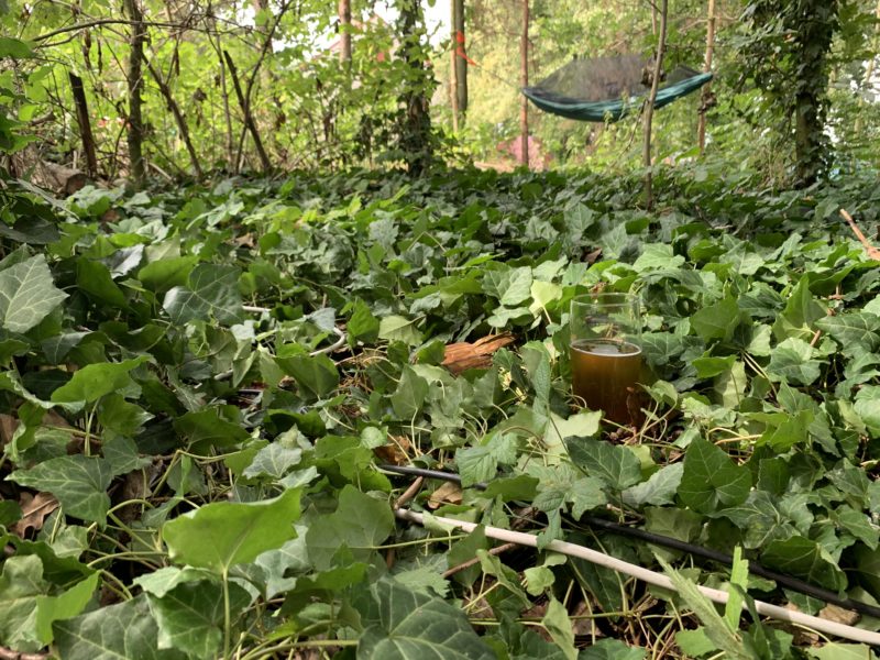 Hájenka X | EXPO /|\