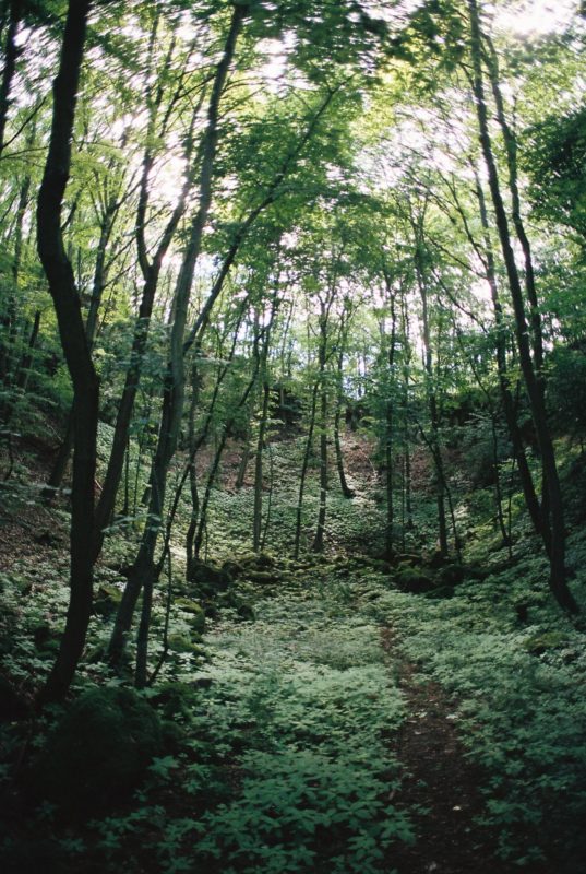 Getaway ’20 | EXPO /|\