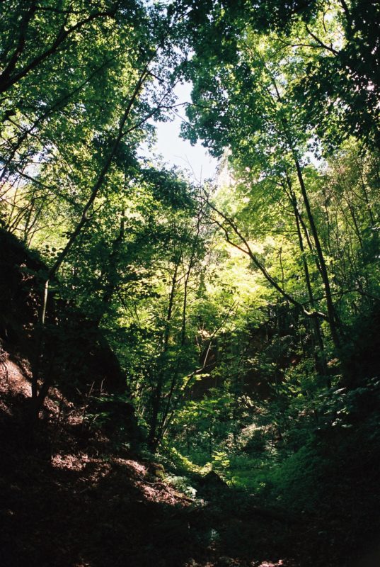 Getaway ’20 | EXPO /|\