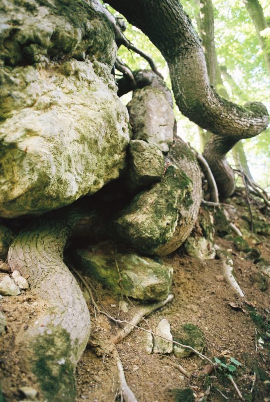 Getaway ’20 | EXPO /|\