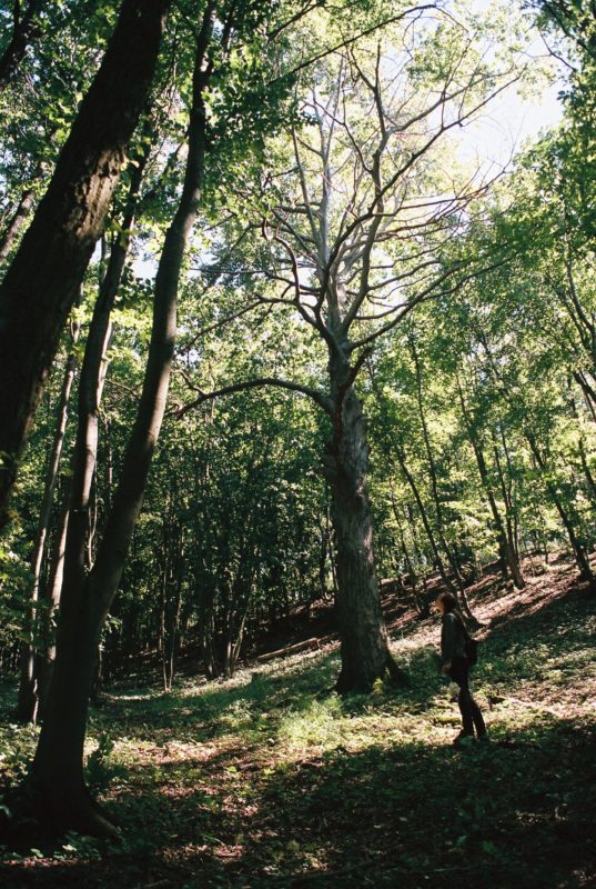 Getaway ’20 | EXPO /|\