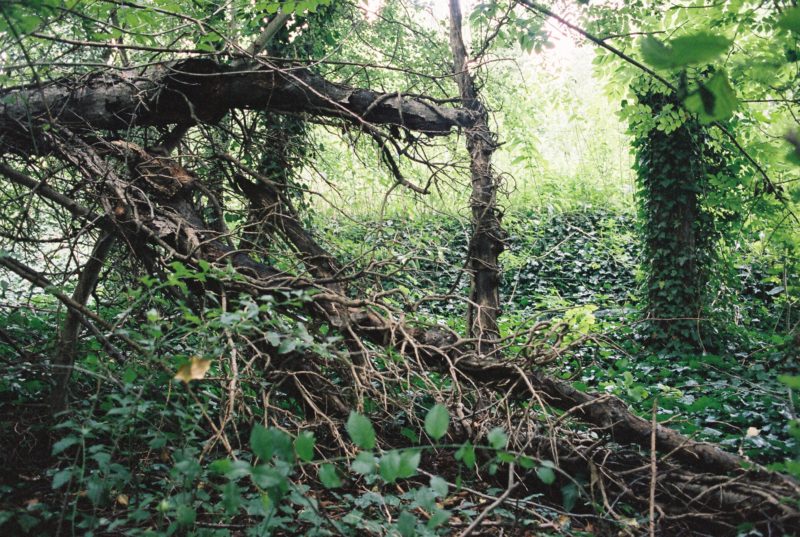 Hájenka X | EXPO /|\