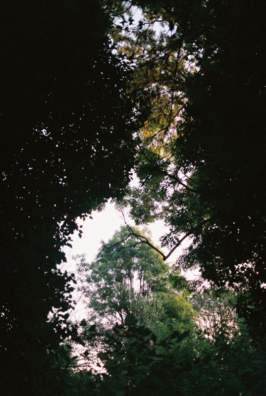 Hájenka X | EXPO /|\