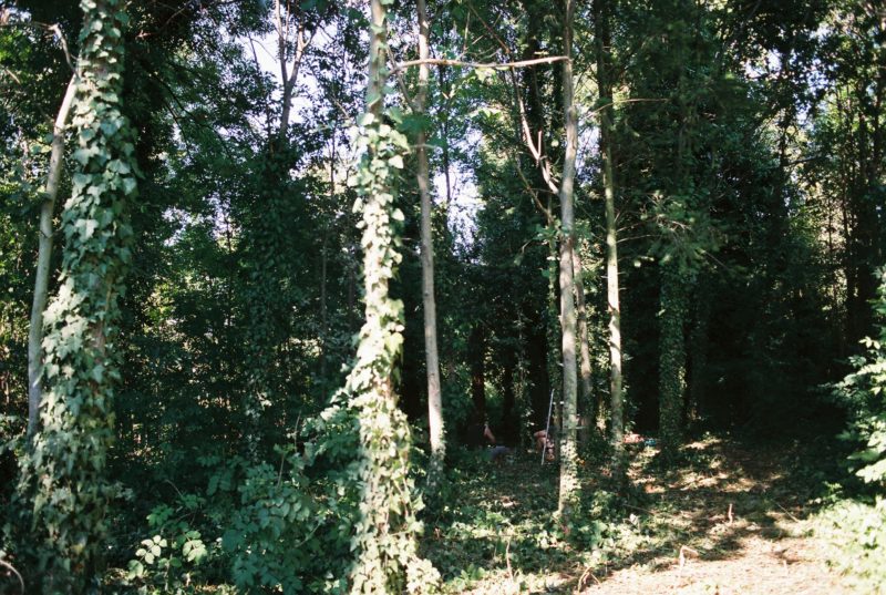 Hájenka X | EXPO /|\