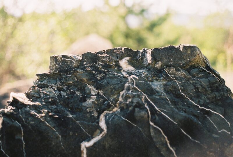 gætæway ’19 | EXPO /|\