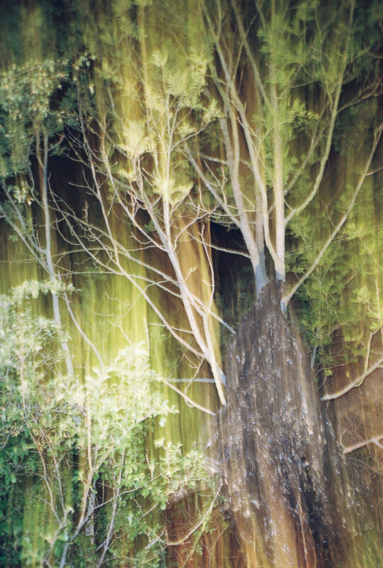 gætæway ’19 | EXPO /|\