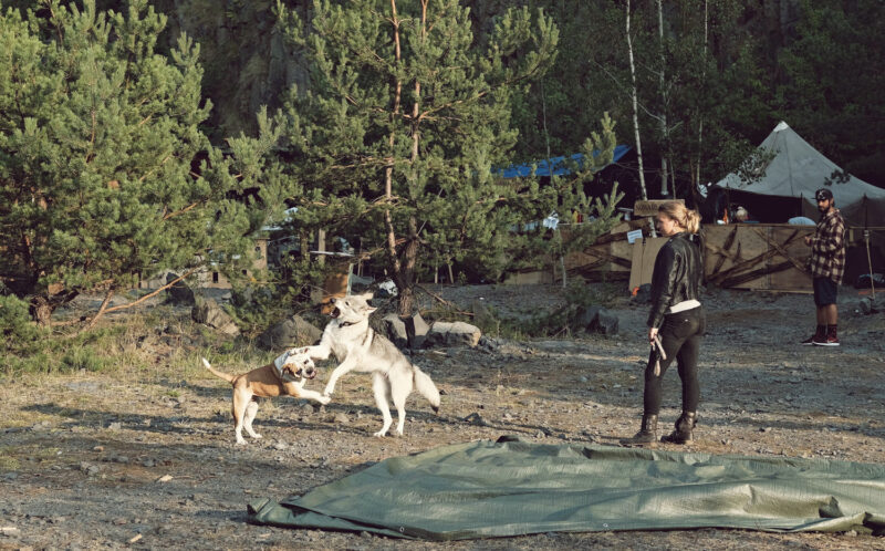 psy-high IV fire | EXPO /|\