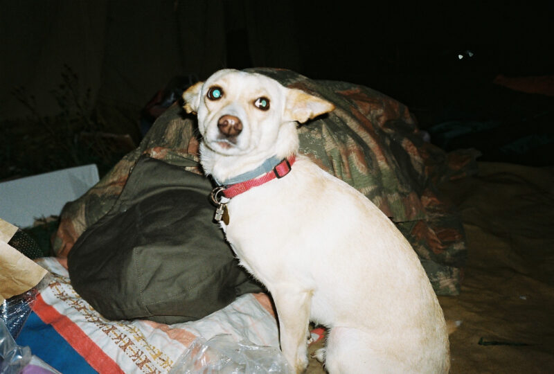 gætæway ’19 | EXPO /|\