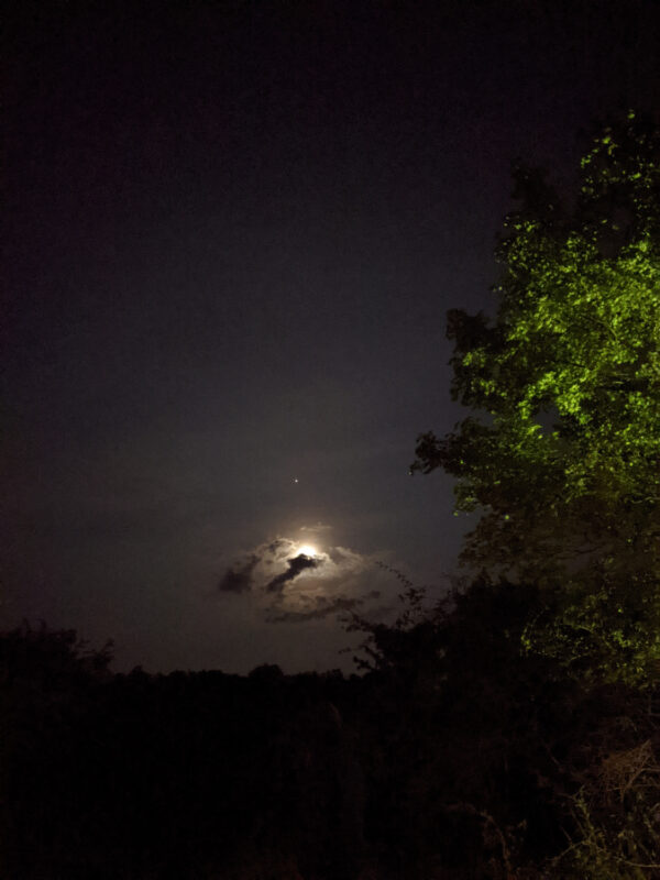 country strike ’21 | EXPO /|\