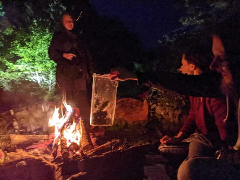 country strike ’21 | EXPO /|\