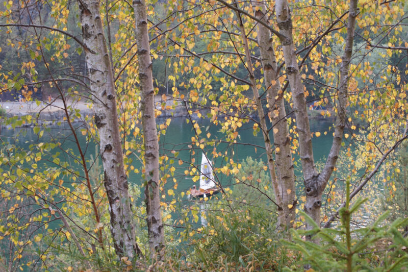 psy-high III water | EXPO /|\