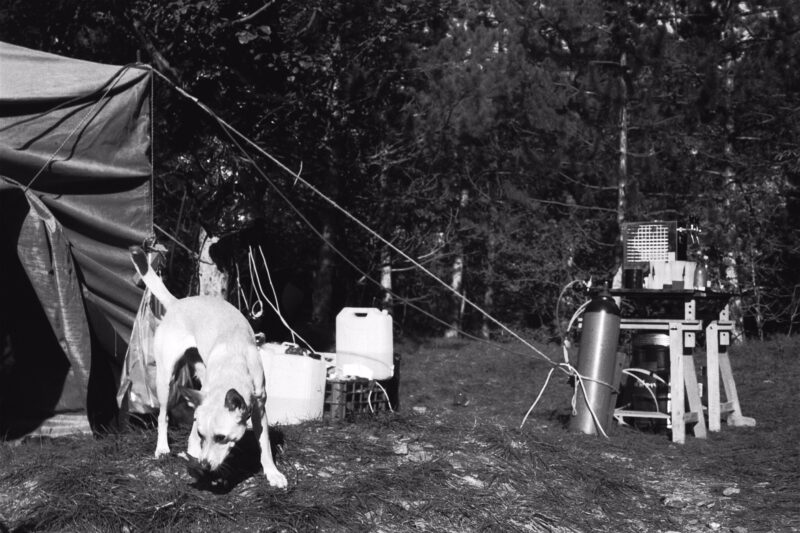 gætæway ’19 | EXPO /|\