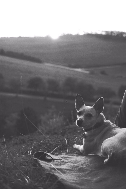 gætæway ’19 | EXPO /|\