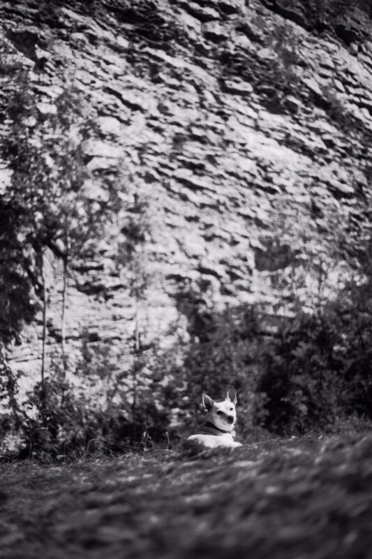 gætæway ’19 | EXPO /|\