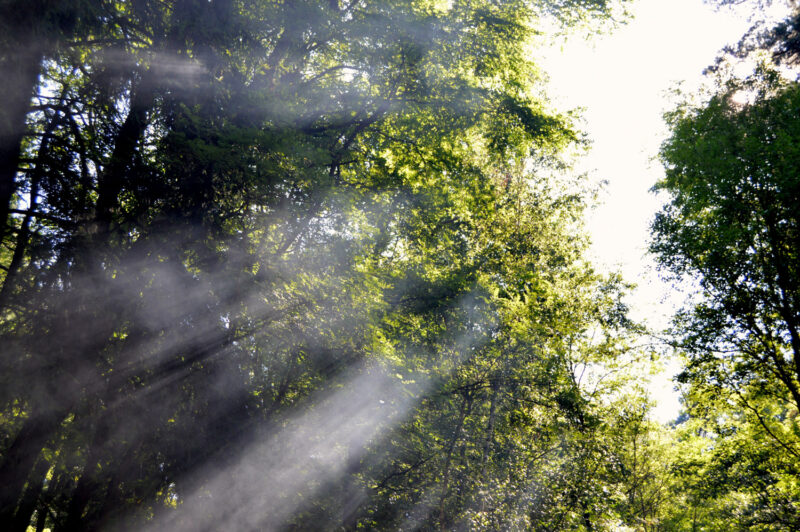 psy-high II earth | EXPO /|\