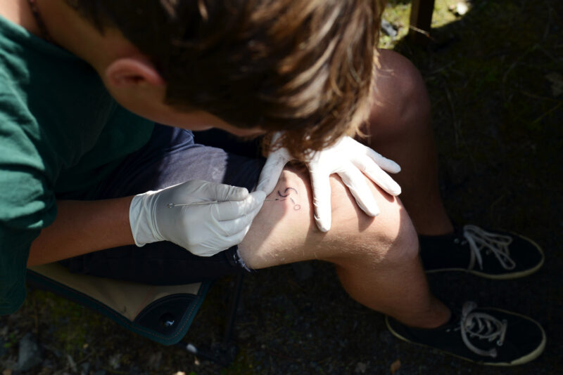 psy-high IV fire | EXPO /|\