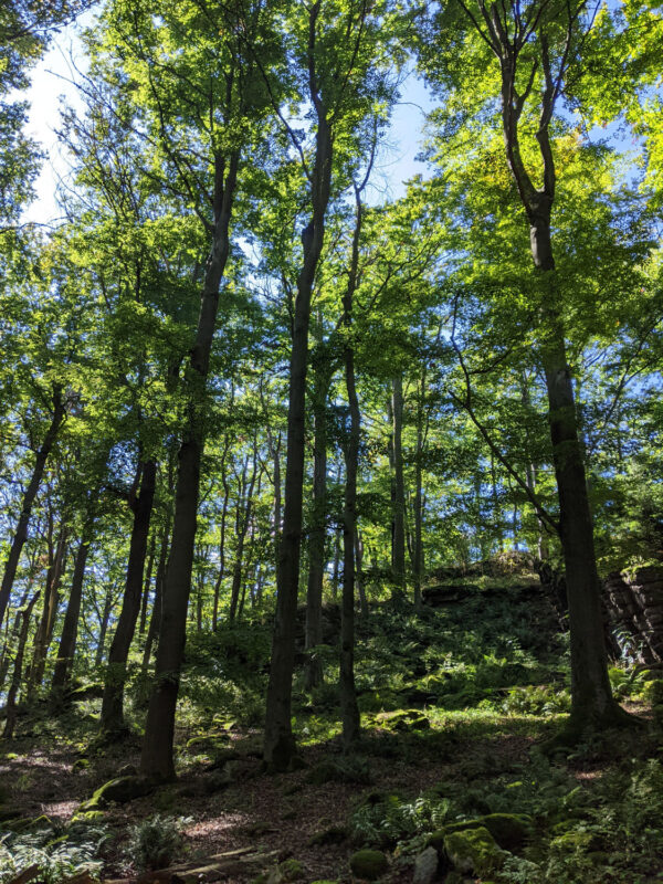 GET~A~WAY ’21 | EXPO /|\