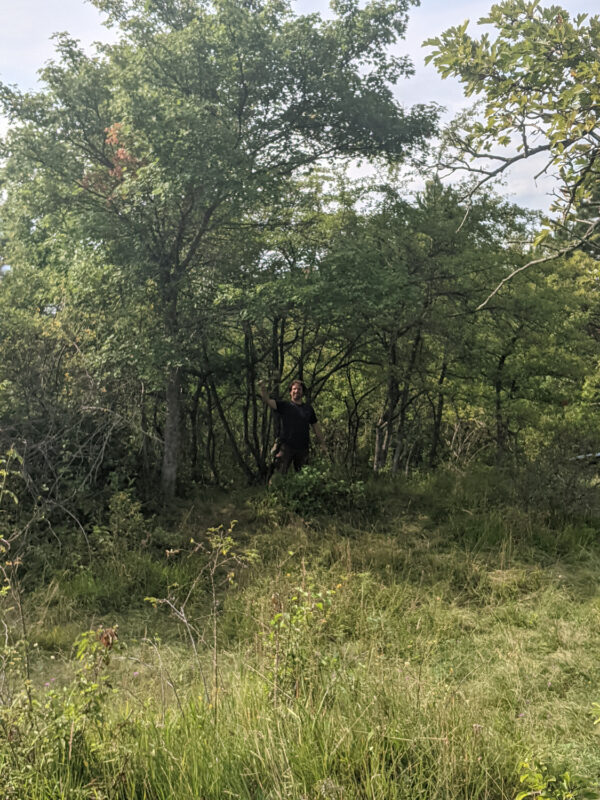 country strike ’21 | EXPO /|\