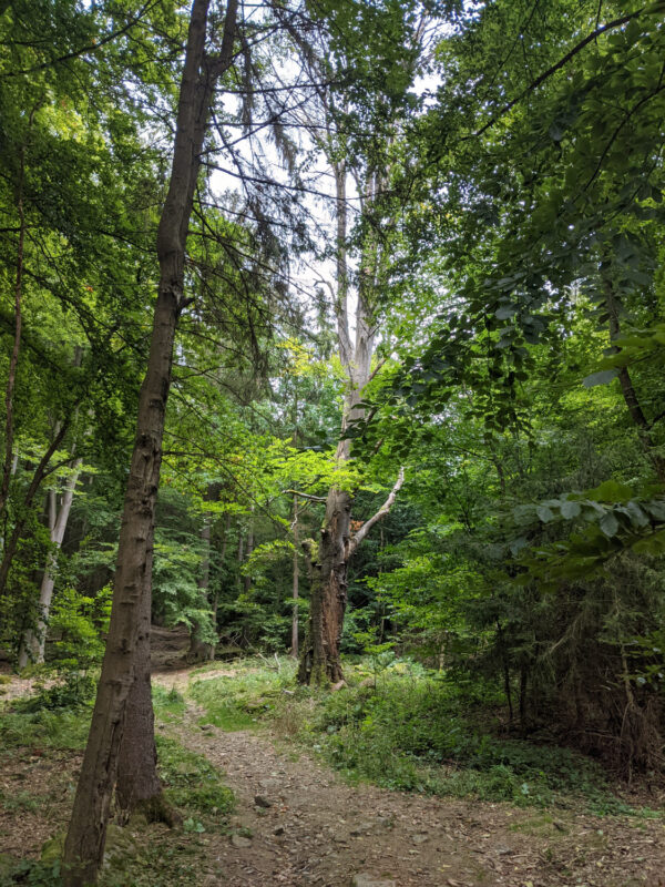 GET~A~WAY ’21 | EXPO /|\