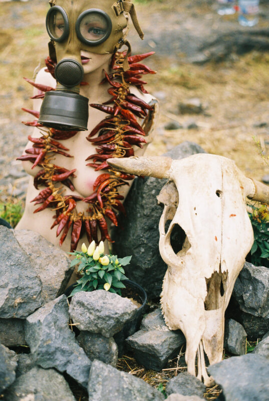 psy-high III water | EXPO /|\