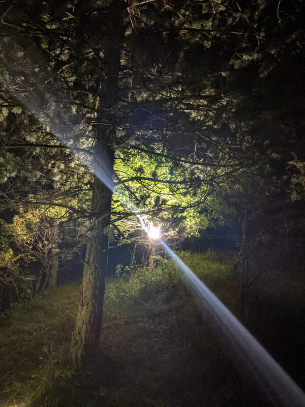 country strike ’21 | EXPO /|\