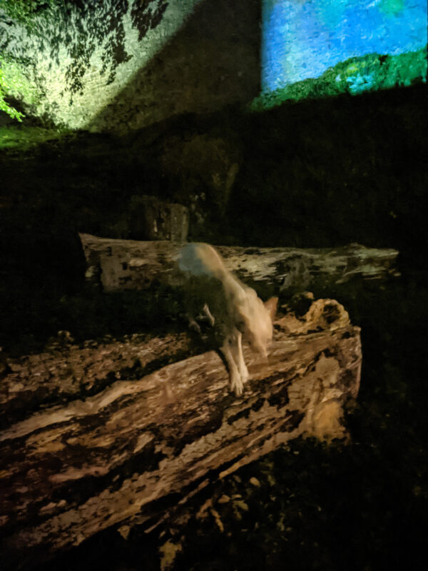 GET~A~WAY ’21 | EXPO /|\