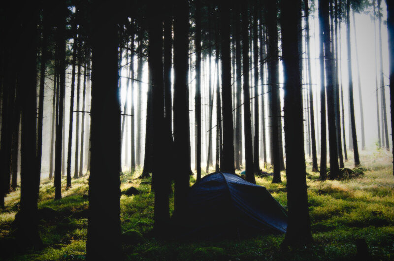 psy-high III water | EXPO /|\