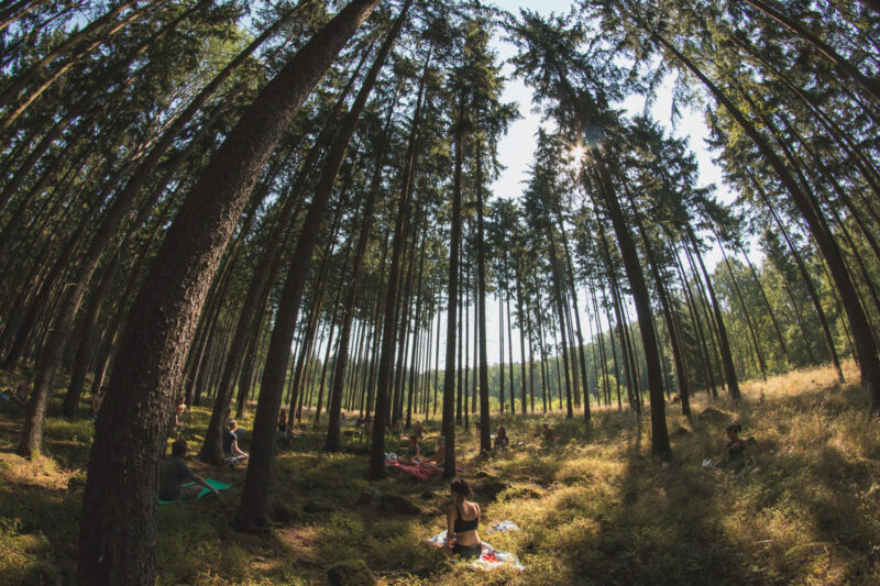 psy-high III water | EXPO /|\