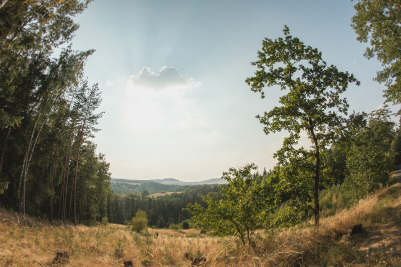 psy-high III water | EXPO /|\