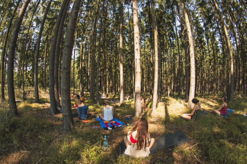 psy-high III water | EXPO /|\