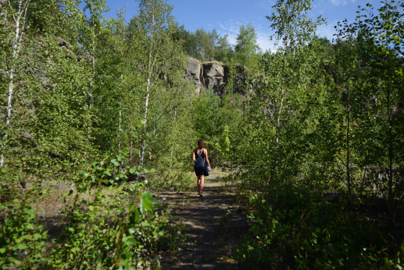 psy-high IV fire | EXPO /|\