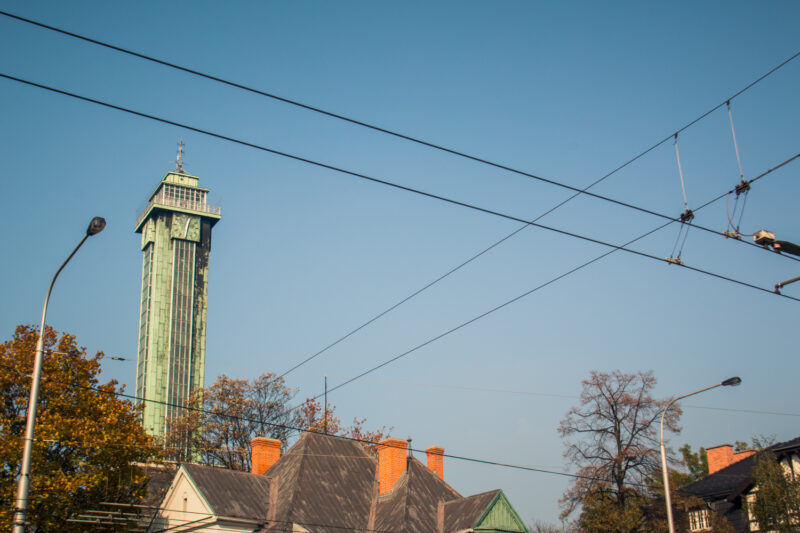 Saiga + Lambda – Steppenlord Tour | EXPO /|\