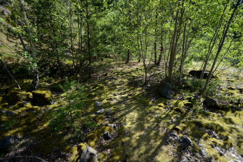 psy-high IV fire | EXPO /|\