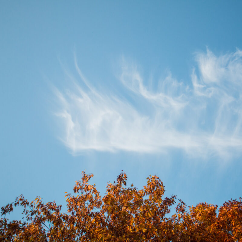 Saiga + Lambda – Steppenlord Tour | EXPO /|\