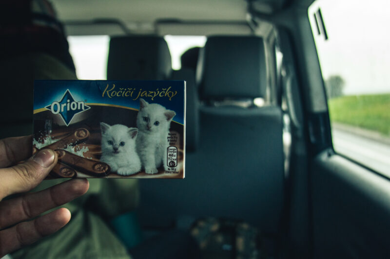 Saiga + Lambda – Steppenlord Tour | EXPO /|\