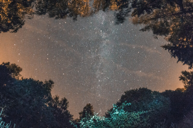 psy-high III water | EXPO /|\