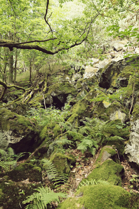 psy-high IV fire | EXPO /|\