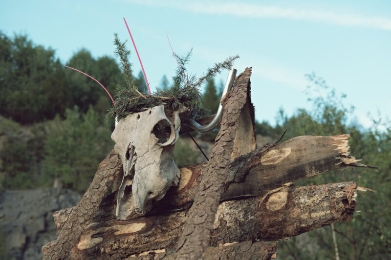 psy-high IV fire | EXPO /|\