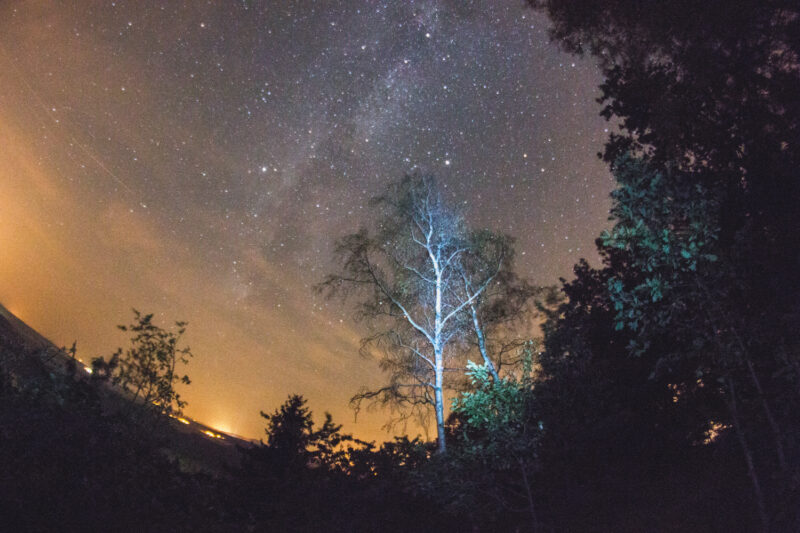 psy-high III water | EXPO /|\