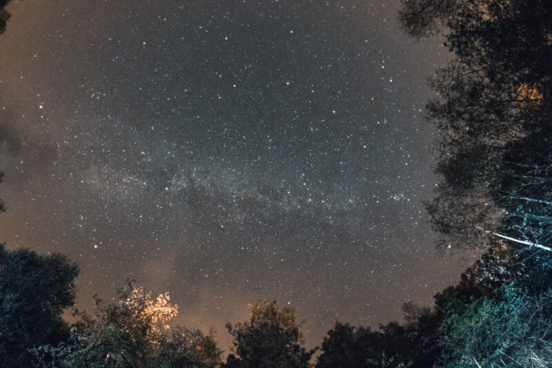 psy-high III water | EXPO /|\